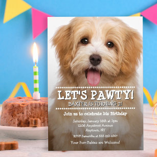 Invitation Pawty 2-Photo Pet Anniversaire