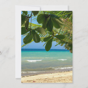 Invitation Paysage de plage. Philippines. Moalboal. Plage bla