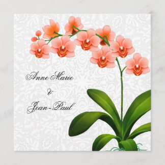 Invitation Peach Phalaenopsis Orchidées and Lace Wedding Invi