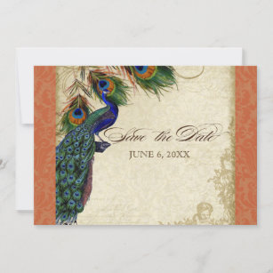 Invitation Peacock & Feathers Formal Enregistrer la date Oran