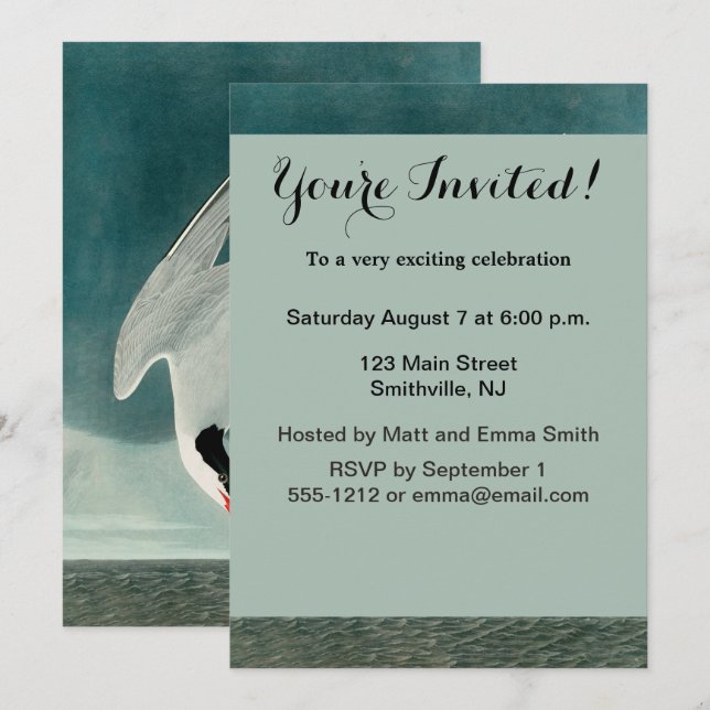 Invitation Peinture de faune d'oiseau de Stern d'Arctique Aud (Devant / Derrière)