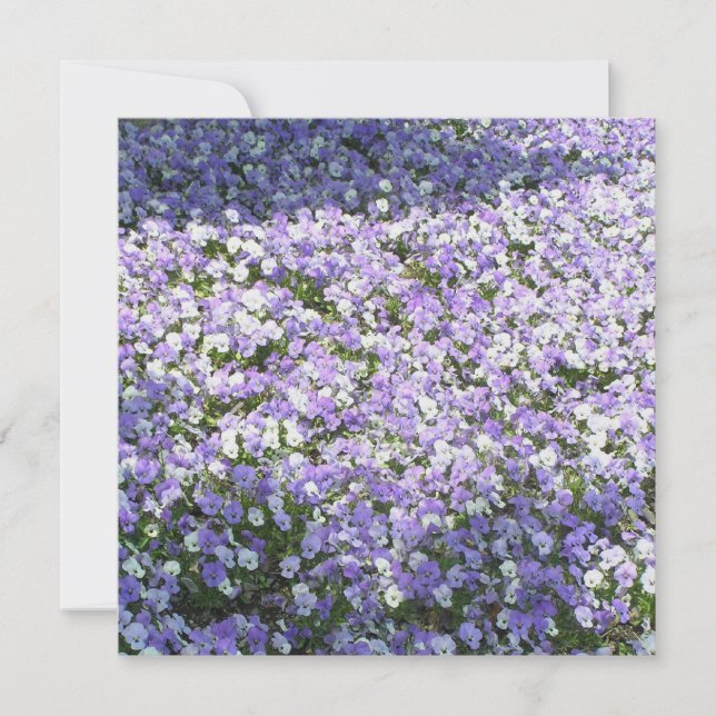 Invitation Pensée (Devant)