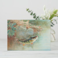Perche jaune par S.A. Kilbourne, Poisson vintage