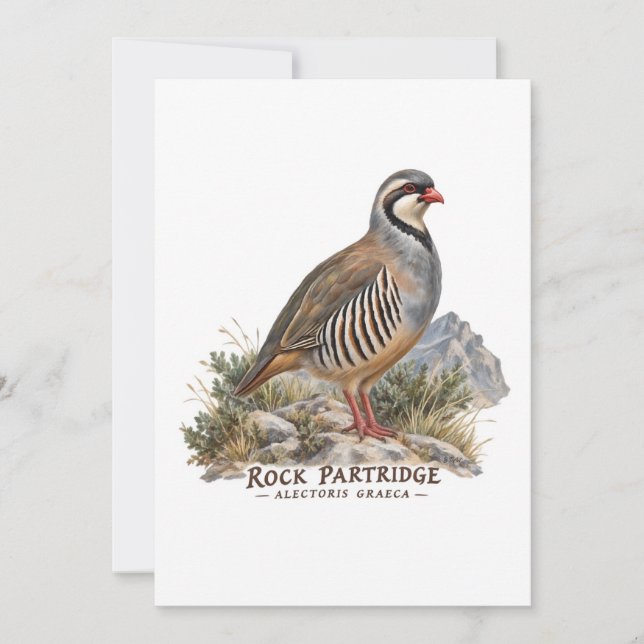 Invitation Perdrix bartavelle ,Alectoris Graeca Oiseaux de Ch (Devant)