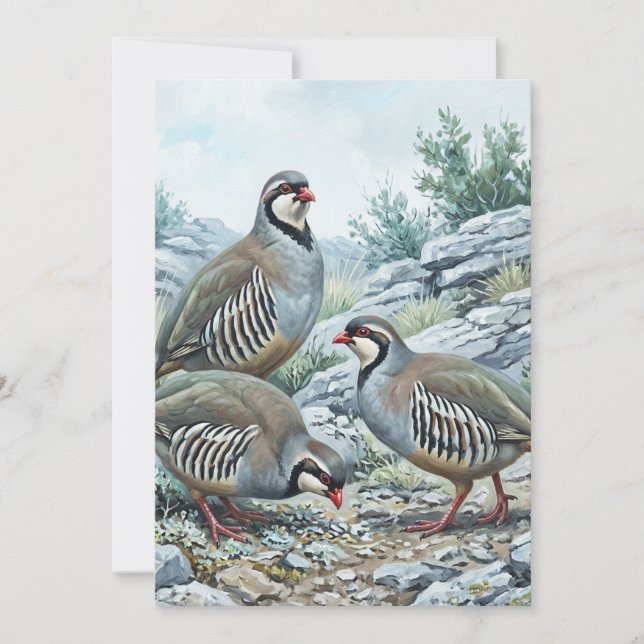 Invitation Perdrix bartavelle ,Alectoris Graeca Oiseaux de Ch (Devant)
