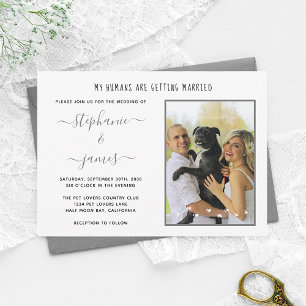 Invitation Personnalisé Humains Se Marier Animal Mariage Phot