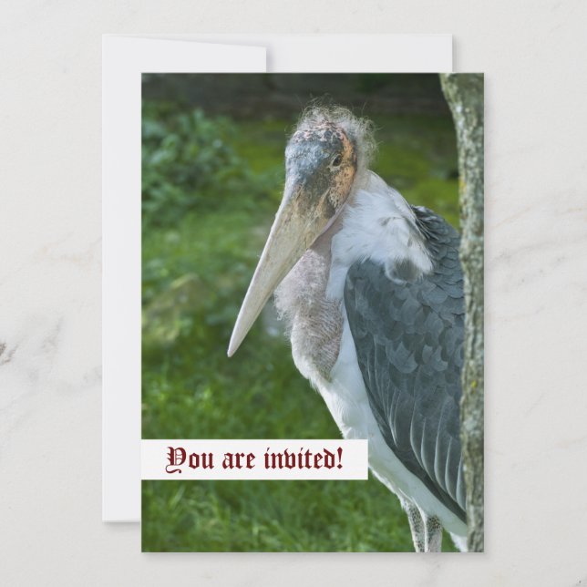 Invitation personnalisée Marabou (Devant)
