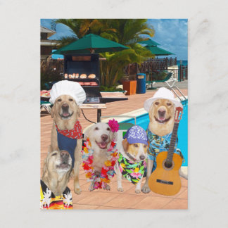 Invitation personnalisée pour les chiens de piscin