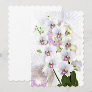 Invitation Personnalisez La Destinée Destiny Destiny Destiny