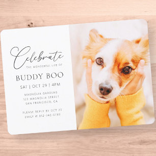Invitation Pet Memorial Moderne Simple Minimaliste Chic Photo
