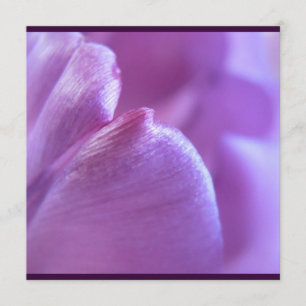 Invitation pétale de tulipe pourpre