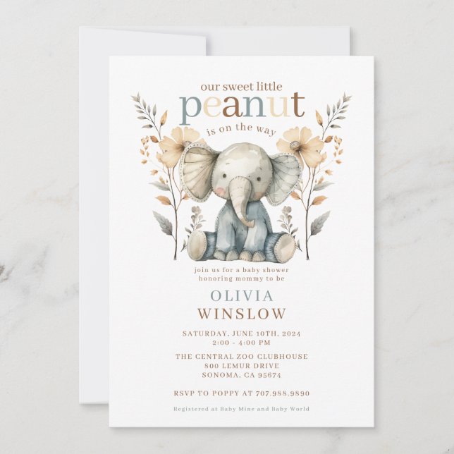 Invitation Petit Baby shower éléphant Bébé bleu arachide (Devant)