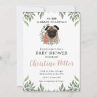 Petit Carlin Chien Chien Chiot Verdure Garçon Baby