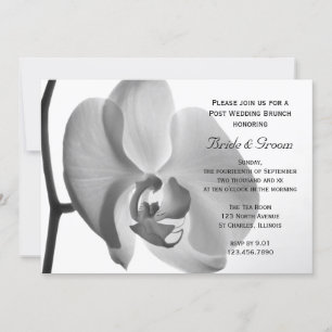 Invitation Petit déjeuner de mariage blanc orchidée