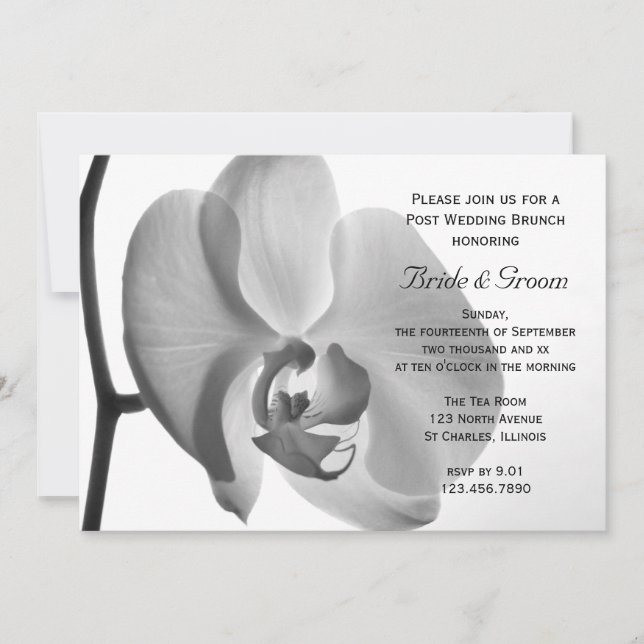 Invitation Petit déjeuner de mariage blanc orchidée après la  (Devant)
