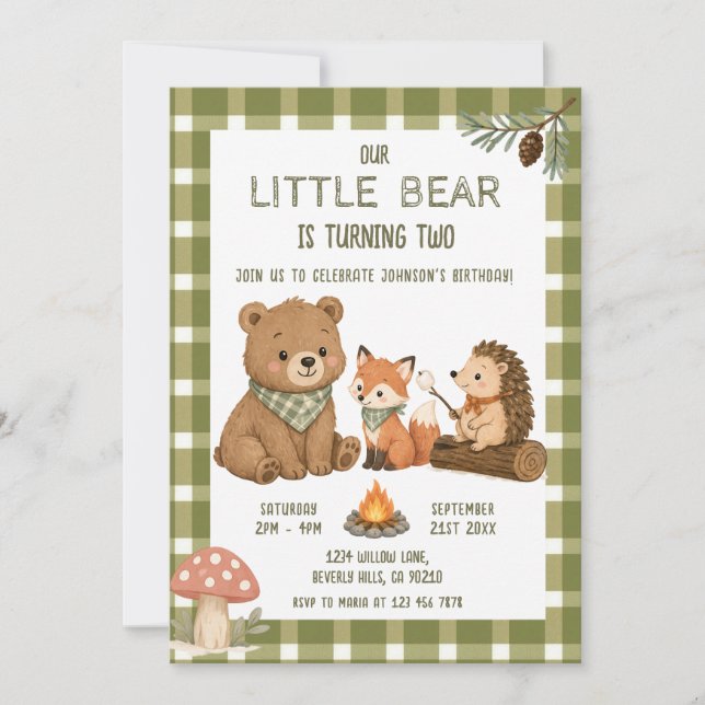 Invitation Petit ours animaux gingham vert anniversaire  (Devant)