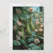 Petit Pois dans la Cosse | Douces Pousses