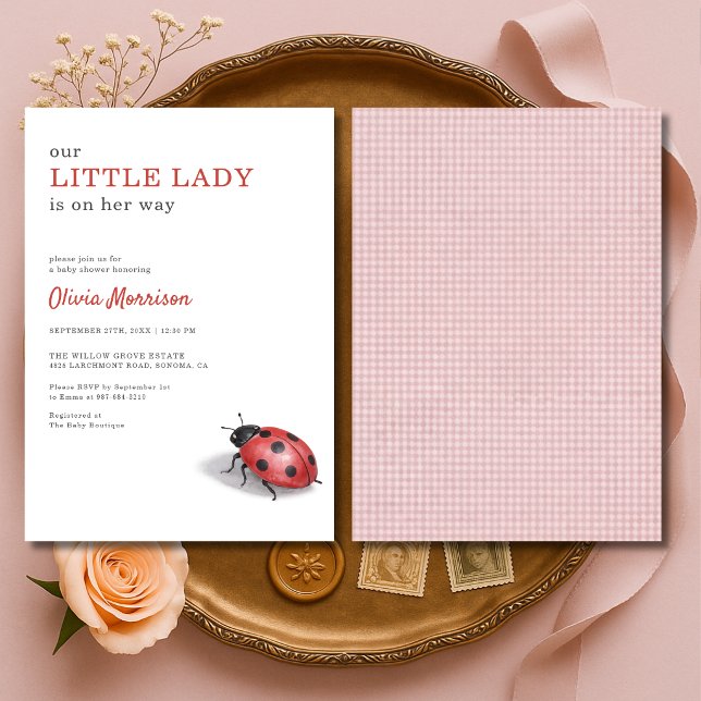 Invitation Petite Dame Coccinelle Baby Shower Gingham (Créateur téléchargé)