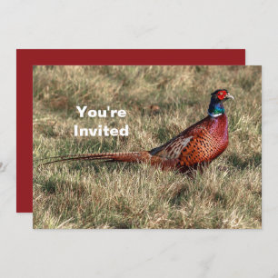 Invitation Pheasant Photo Noël