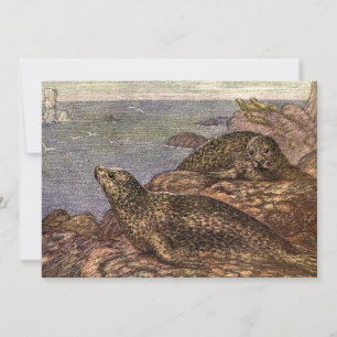 Invitation Phoques, Animaux Marins de la Vie Océanique Ancien