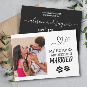 Invitation Photo Animaux de compagnie Moderne Simple Mariage