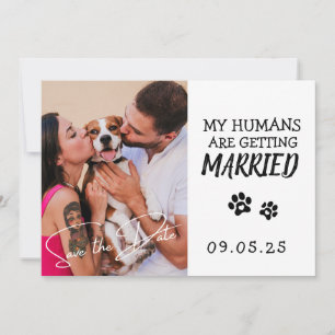 Invitation Photo Animaux de compagnie Moderne Simple Mariage