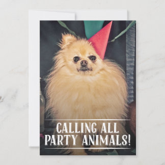INVITATION PHOTO ANNIVERSAIRE DU CHIEN DE COMPAGNI