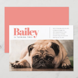 Invitation Photo d'Anniversaire de Chien de Chien Personnalis