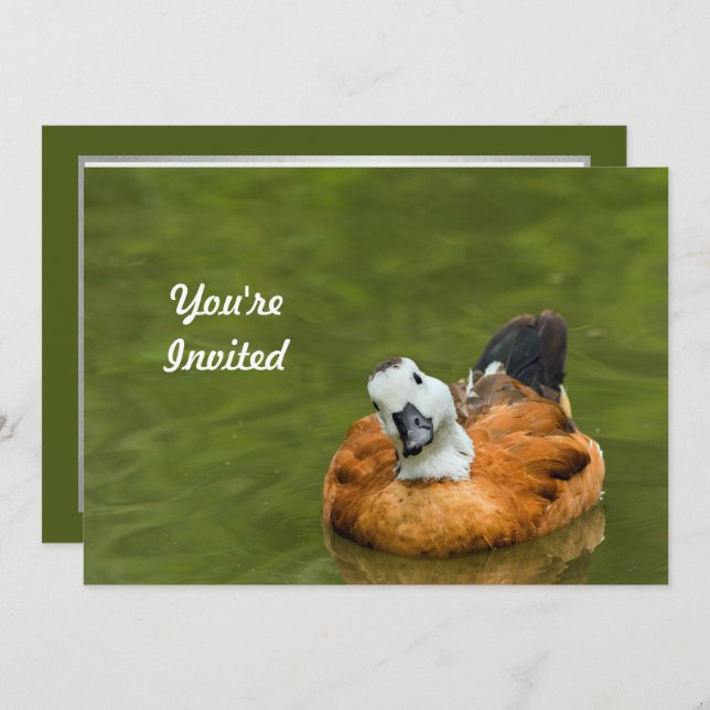 Invitation Photo de canard coloré mignon Anniversaire (Devant / Derrière)