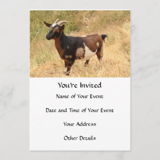 Invitation Photo de chèvre