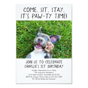 Invitations Faire Part Cartes Anniversaire Chien Chat Zazzle Fr