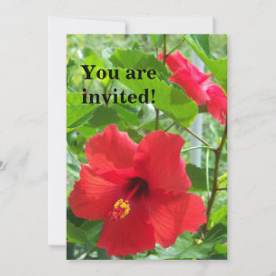 Invitation Photo de fleurs d'hibiscus tropicaux rouges sur un