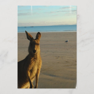 Invitation photo de Kangaroo
