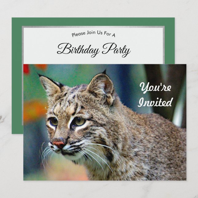 Invitation Photo de la faune Bobcat Anniversaire (Devant / Derrière)