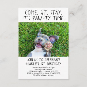 Invitation Photo de la fête d'anniversaire du Chien Chien Chi