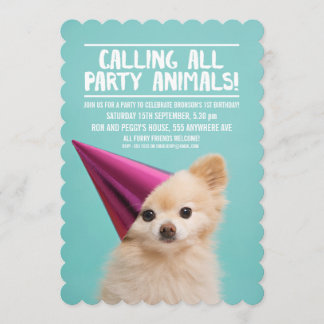 Invitation PHOTO DE LA FÊTE DE CHIEN POUR ANIMAUX