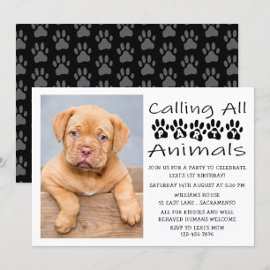 Invitation Photo de l'anniversaire du chien