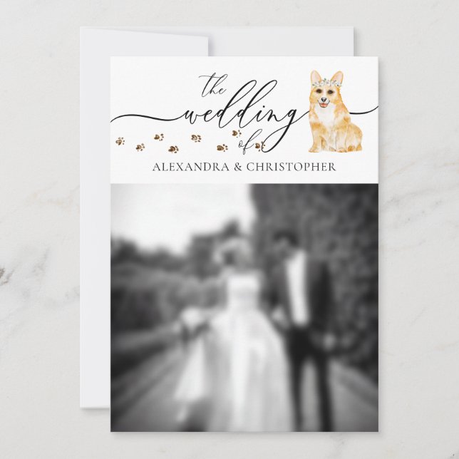 Invitation Photo de mariage de chiot Corgi (Devant)