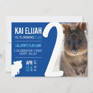 Invitation Photo de Quokka bleu pour le deuxième anniversaire
