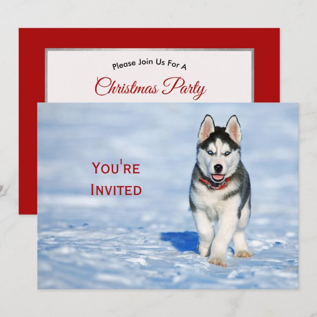 Invitation Photo Husky Puppy Neige Noël (Devant / Derrière)
