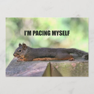 Invitation Photo paresseuse d'écureuil