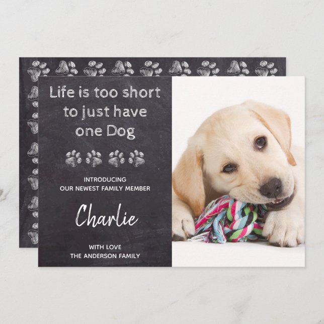 Invitation Photo Personnalisée Nouveau Chien Pour Animaux De  (Devant / Derrière)