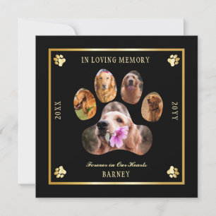 Invitation Photo Pet memorial - Black   Gold