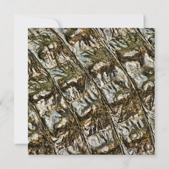 Invitation Photographie Abstraite de l'Alligator de dos (Devant)