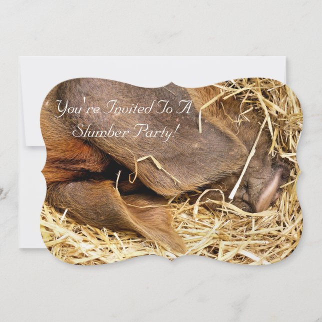 Invitation PIG (Devant)