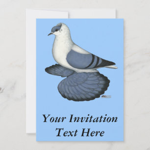 Invitation Pigeon hirondelle bleu