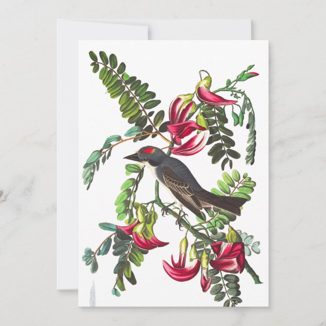 Invitation Piping Flycatcher par John James Audubon (Devant)