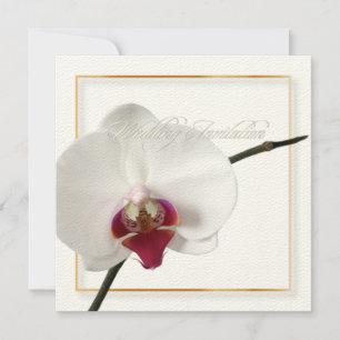 Invitation Pix-Dezines orchidées/phalaenopsis