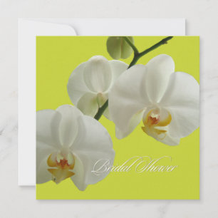 Invitation Pix-Dezines orchidées/phalaenopsis