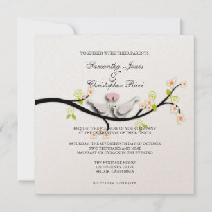 Invitation PixDezines aime les colombes/do-it-yourself couleu